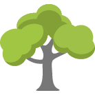 Parker Tree Trimming Service