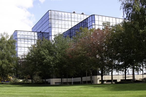 Commercial Tree Trimming in Parker
