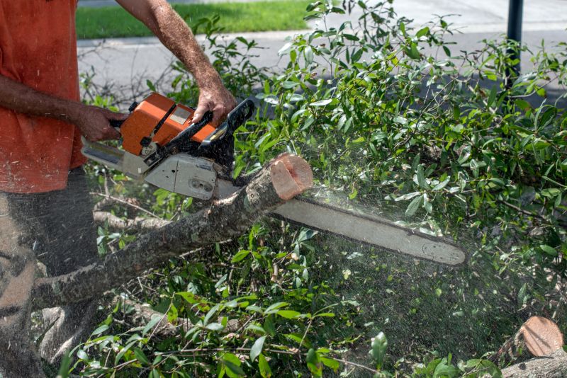 Tree Trimming Equipment